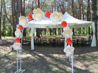 Свадебные арки. Изображение 12645