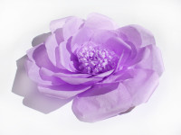 Бумажный декор. Изображение 12658