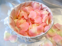 Лепестки роз. Изображение 12897