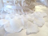 Лепестки роз. Изображение 12895