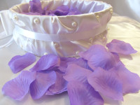 Лепестки роз. Изображение 12899