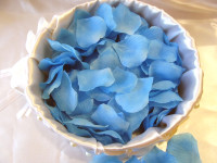 Лепестки роз. Изображение 12901