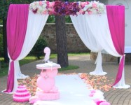 Выездная церемония. Изображение 12915