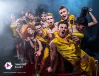 Шоу-Балет SHADOWS | Shadows-Ballet. Изображение 13097