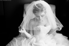 Wedding. Изображение 13185