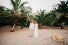 Свадьбы. Изображение 13296