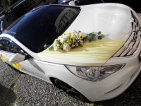 Дизайнерские услуги. Изображение 13488