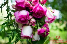 Наши работы. Изображение 13519