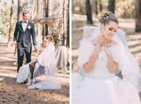 Wedding. Изображение 20769