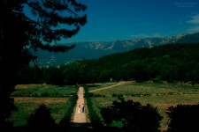 Фотограф. Изображение 13945