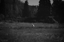 Фотограф. Изображение 14233