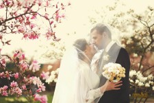 Праздничные услуги. Изображение 13851