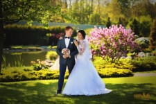 Праздничные услуги. Изображение 13852