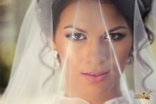 Праздничные услуги. Изображение 13853