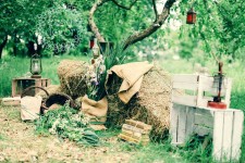 Наши работы. Изображение 27110