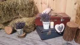 Наши работы. Изображение 38354