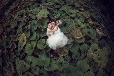Свадебные фотографии. Изображение 14298 Свадебные фотографии. Изображение 14298