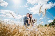 Wedding. Изображение 38531