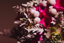 Wedding. Изображение 14535