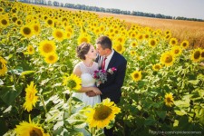 Wedding. Изображение 14539