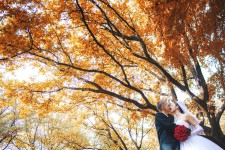 Wedding Stories. Изображение 15056 Wedding Stories. Изображение 15056