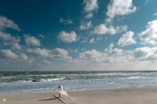 Wedding. Изображение 15136