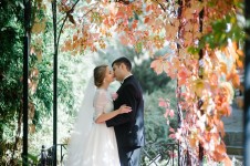 Wedding. Изображение 15139