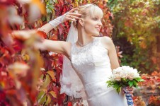 Свадьба. Изображение 15266