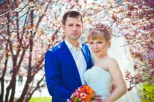 Свадьба. Изображение 15268