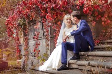 Свадьба. Изображение 15270