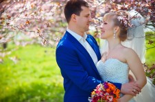 Свадьба. Изображение 15261