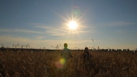 Скрины кадров со съемок LifeEmotions..). Изображение 15322 Скрины кадров со съемок LifeEmotions..). Изображение 15322