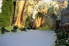 Организация, концепция, декор: Be happy wedding agency. Изображение 15607