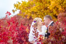 Wedding foto. Изображение 15668