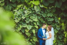 Wedding foto. Изображение 25422