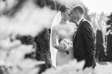 WEDDING. Изображение 1371