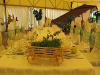 Цветочное оформление зала. Изображение 16694