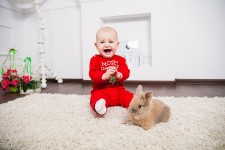 Happy family. Изображение 16760