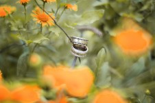 Любовь. Изображение 17146 Любовь. Изображение 17146