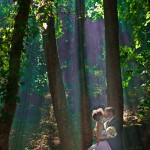 Свадебное фото. Изображение 17265 Свадебное фото. Изображение 17265