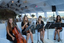 Perfect Style. Изображение 17293