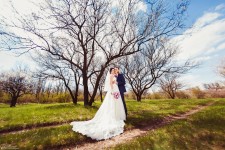 Свадебное портфолио. Изображение 17450