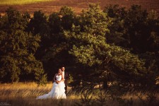 Свадебное портфолио. Изображение 17447