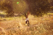 История любви. Изображение 17486