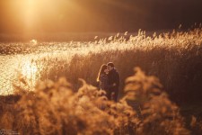 История любви. Изображение 17473