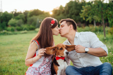 Портфолио. Изображение 18066