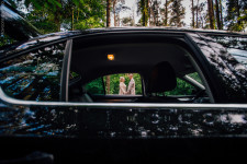 Портфолио. Изображение 18072