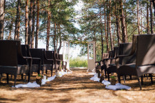 Свадебные детали. Изображение 18093