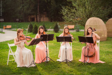 Церемония и банкет. Изображение 18115