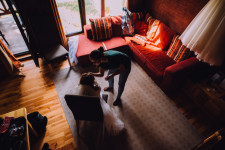 Wedding. Изображение 18239